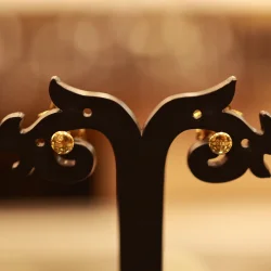 22KT Gold Starflare Petal Studs