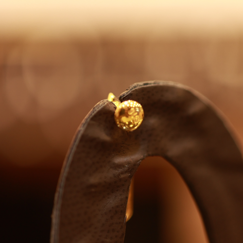 22KT Gold Celeste Fleur Earrings