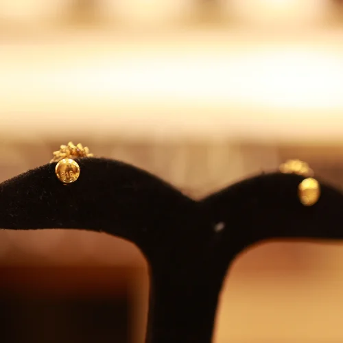 22KT Gold Elysia Spiral Studs