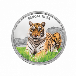 999KT 31.10 GMS WWF INDIA BENGAL TIGER 999.9 SILVER COIN WITH BOX
