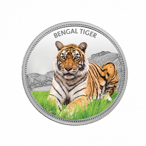 999KT 31.10 GMS WWF INDIA BENGAL TIGER 999.9 SILVER COIN WITH BOX
