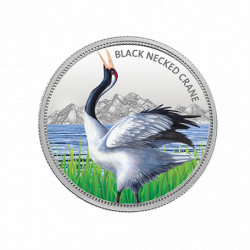 999KT 31.10 GMS WWF INDIA BLACK NECKED CRANE 999.9 SILVER COIN WITH BOX
