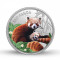 999 KT 31.10 GMS WWF INDIA RED PANDA 999.9 SILVER COIN WITH BOX
