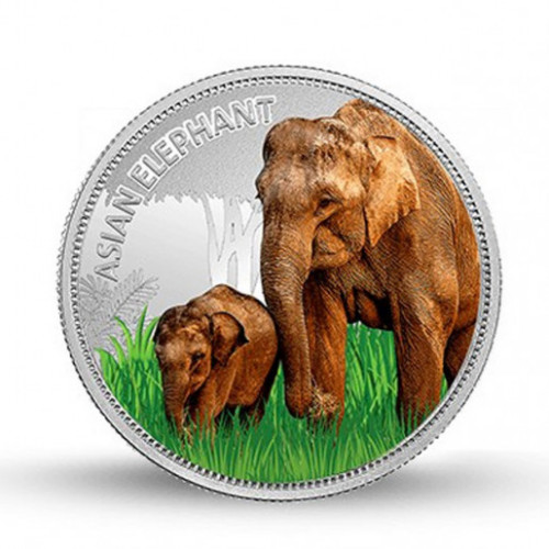 999KT 31.10 GMS WWF INDIA ASIAN ELEPHANT 999.9 SILVER COIN WITH BOX
